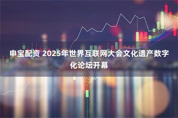 申宝配资 2025年世界互联网大会文化遗产数字化论坛开幕