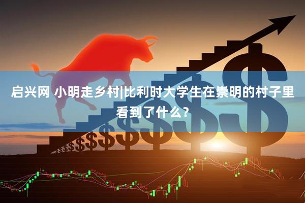 启兴网 小明走乡村|比利时大学生在崇明的村子里看到了什么？
