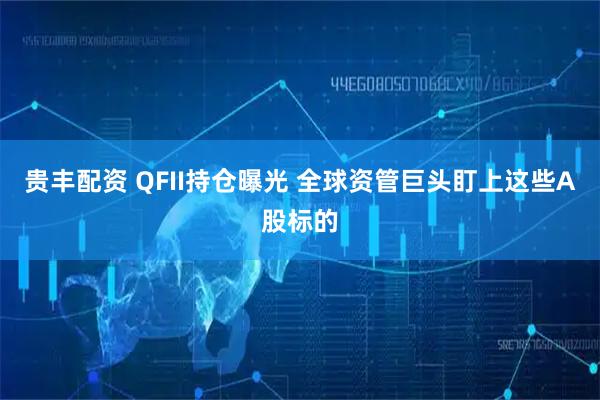 贵丰配资 QFII持仓曝光 全球资管巨头盯上这些A股标的