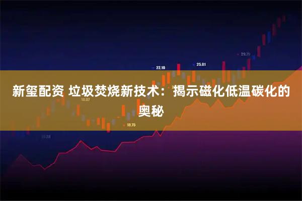 新玺配资 垃圾焚烧新技术：揭示磁化低温碳化的奥秘